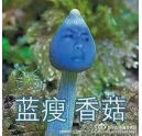 藍(lán)瘦香菇什么梗 柯尼卡美能達(dá)復(fù)印機(jī)新代碼？